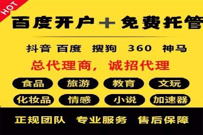 成功案例：专业SEM托管服务助力企业抢占行业制高点